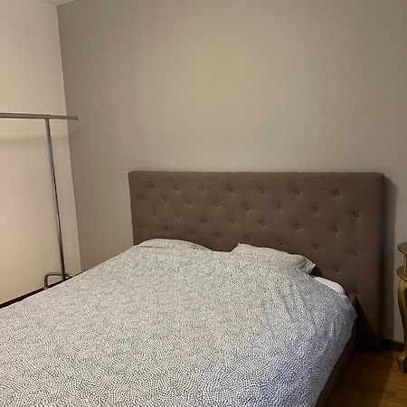 L'Appartement Du Pere Noel Ginevra Esterno foto